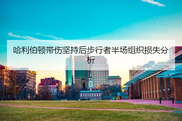 ha-li-bo-dun-dai-shang-jian-chi-hou-bu-xing-zhe-ban-chang-zu-zhi-sun-shi-fen-xi-2-996.jpg