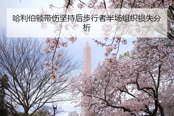 哈利伯顿带伤坚持后步行者半场组织损失分析