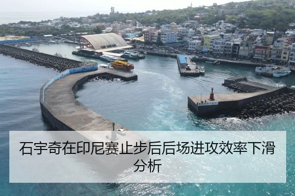 石宇奇在印尼赛止步后后场进攻效率下滑分析