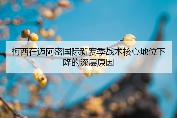 mei-xi-zai-mai-a-mi-guo-ji-xin-sai-ji-zhan-shu-he-xin-di-wei-xia-jiang-de-shen-ceng-yuan-yin-2-553.jpg