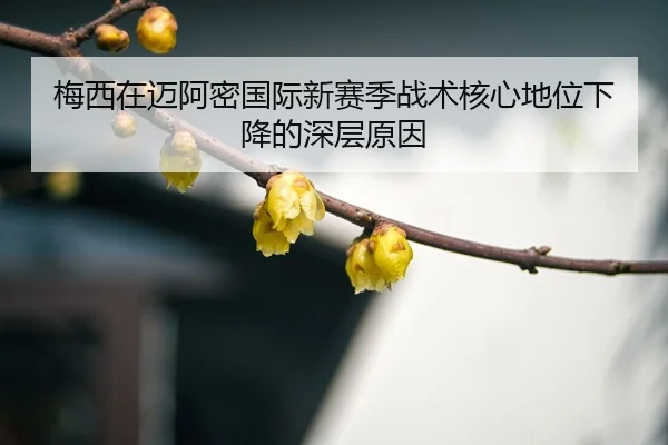 mei-xi-zai-mai-a-mi-guo-ji-xin-sai-ji-zhan-shu-he-xin-di-wei-xia-jiang-de-shen-ceng-yuan-yin-3-237.jpg