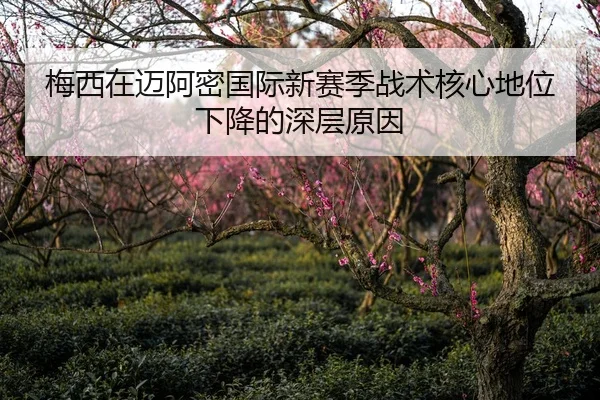 梅西在迈阿密国际新赛季战术核心地位下降的深层原因