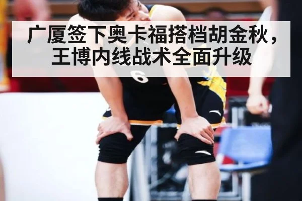 广厦签下奥卡福搭档胡金秋，王博内线战术全面升级