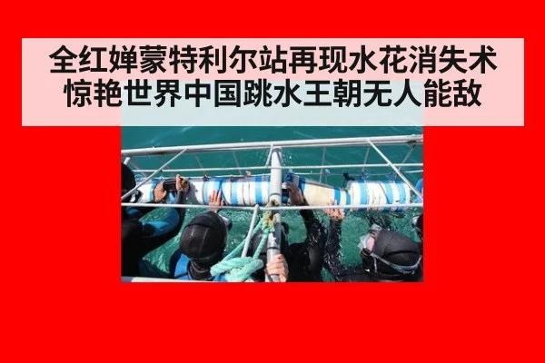 全红婵蒙特利尔站再现水花消失术惊艳世界中国跳水王朝无人能敌